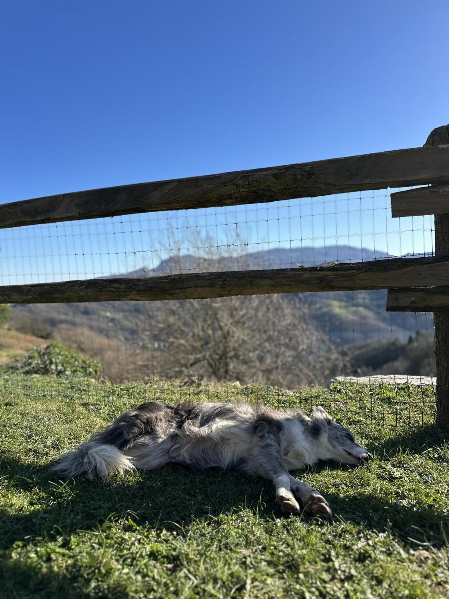 Villa Almastur Rural Siero Esterno foto